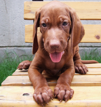 undefined{{pos:,w:,h:}}