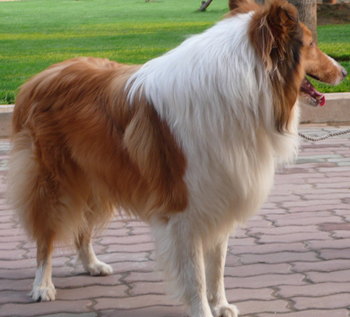 undefined{{pos:,w:,h:}}