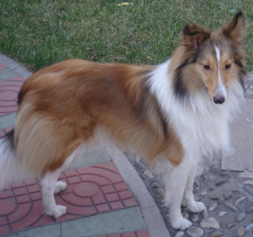 undefined{{pos:,w:,h:}}