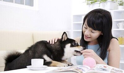 undefined{{pos:,w:,h:}}