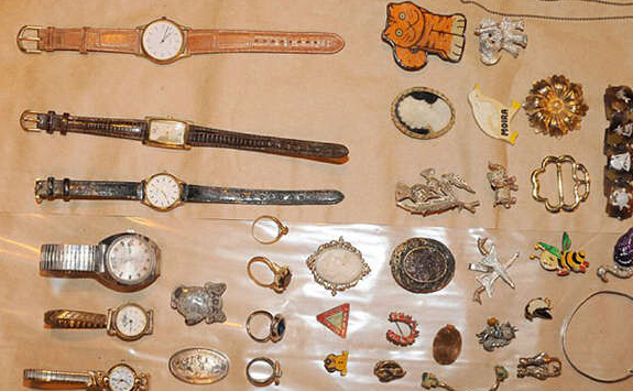 狗狗摇身变警探 助警方发现罪犯