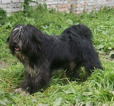 undefined{{pos:,w:,h:}}