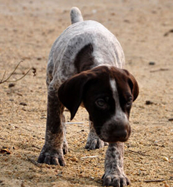 undefined{{pos:,w:,h:}}