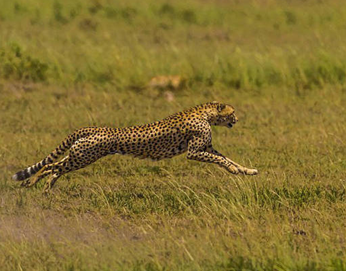 undefined{{pos:,w:,h:}}