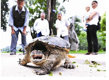 undefined{{pos:,w:,h:}}