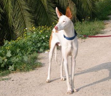 undefined{{pos:,w:,h:}}