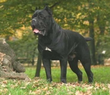 undefined{{pos:,w:,h:}}