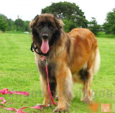 undefined{{pos:,w:,h:}}