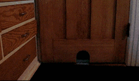 嗯，我没胖！一定是我进门的方式不对