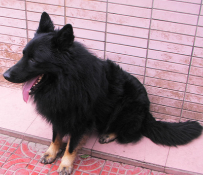 undefined{{pos:,w:,h:}}