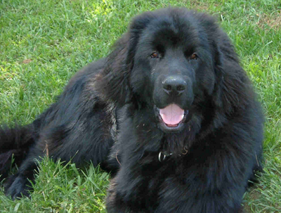 undefined{{pos:,w:,h:}}