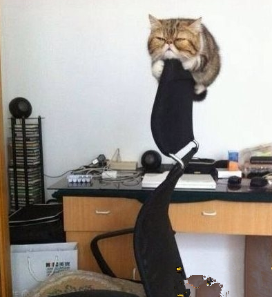 主淫 我怎么下来啊