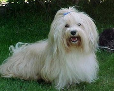 undefined{{pos:,w:,h:}}