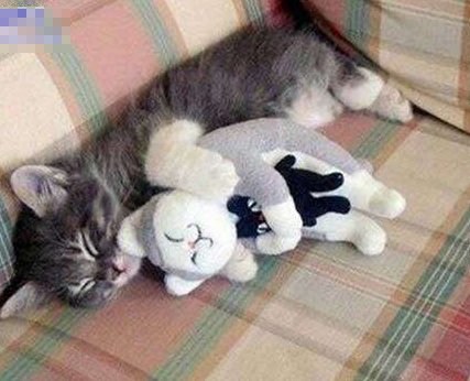 幸福的一家三口