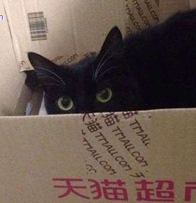 你居然背着我去做代言了？