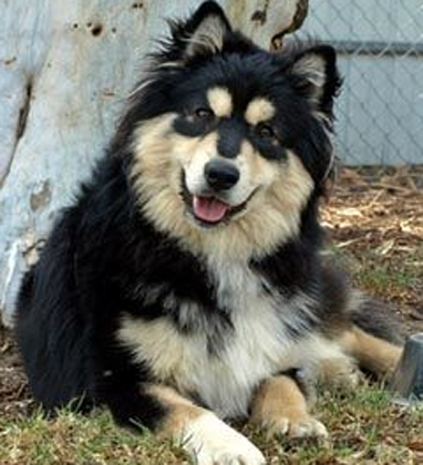 undefined{{pos:,w:,h:}}