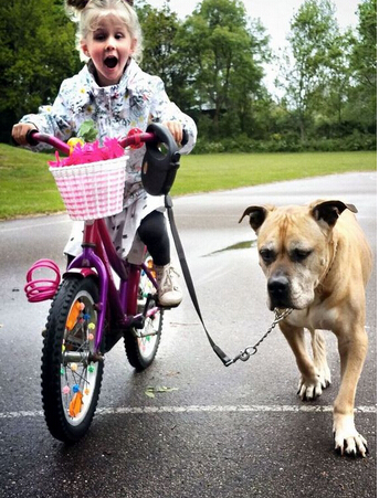 父亲拍下女儿与狗狗亲密瞬间照片 网友：好暖心