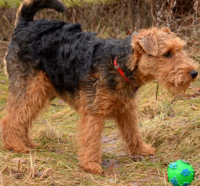 undefined{{pos:,w:,h:}}