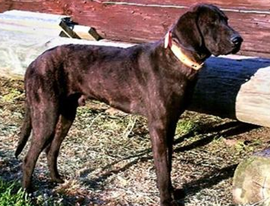 undefined{{pos:,w:,h:}}