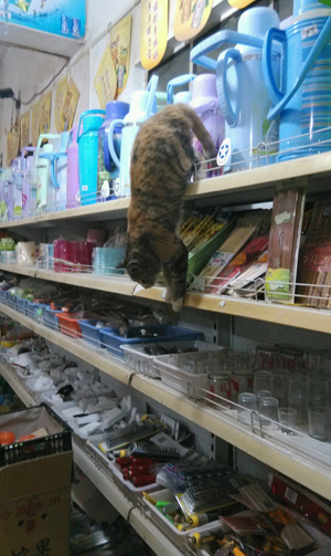 看我来飞一个.....