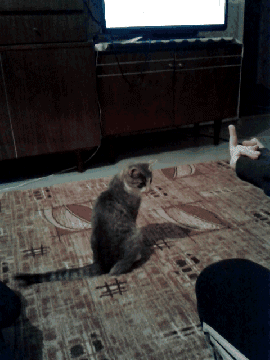 操你丫的 你以为这手势我不懂