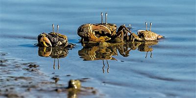 undefined{{pos:,w:,h:}}