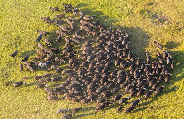 undefined{{pos:,w:,h:}}