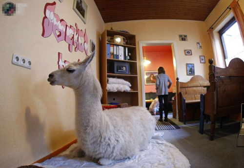 undefined{{pos:,w:,h:}}