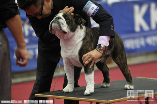 undefined{{pos:,w:,h:}}