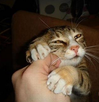 客官表急，人家迟早是你的人嘛