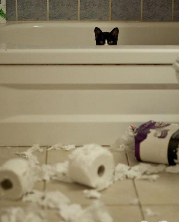 主银，我在洗澡我啥都不知道