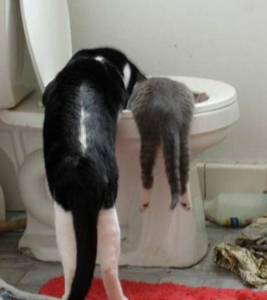 好喝吗？好喝，再来点，好的