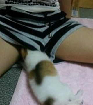 让本喵来给你检查检查