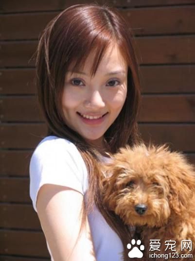 男孩与鳐鱼成好友 明星宠物大曝光孙俪收养7只流浪狗