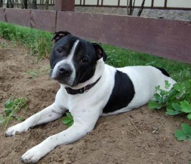 undefined{{pos:,w:,h:}}