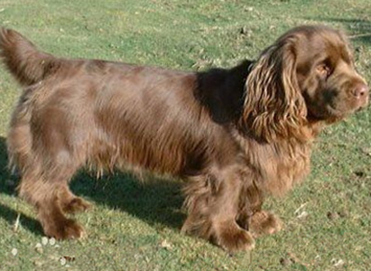 undefined{{pos:,w:,h:}}