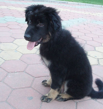 undefined{{pos:,w:,h:}}