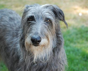 undefined{{pos:,w:,h:}}