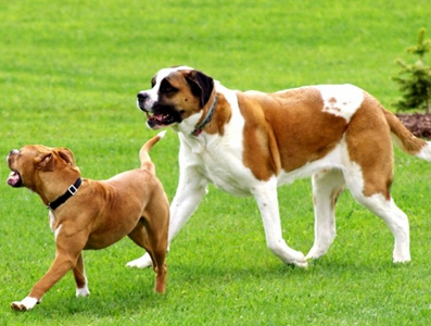 undefined{{pos:,w:,h:}}