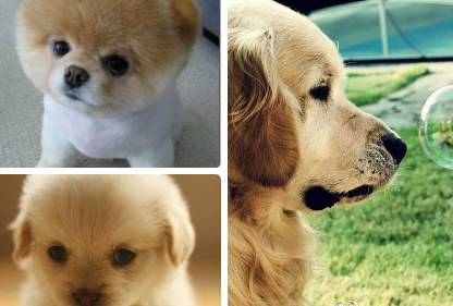 undefined{{pos:,w:,h:}}