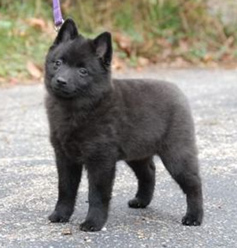 undefined{{pos:,w:,h:}}