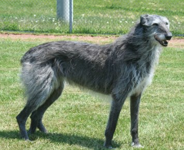 undefined{{pos:,w:,h:}}