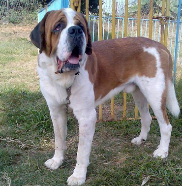 undefined{{pos:,w:,h:}}