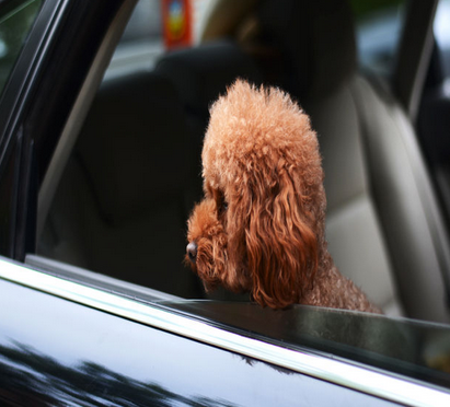 undefined{{pos:,w:,h:}}