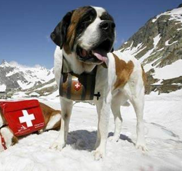 undefined{{pos:,w:,h:}}