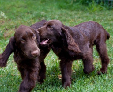 undefined{{pos:,w:,h:}}