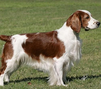 undefined{{pos:,w:,h:}}