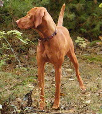 undefined{{pos:,w:,h:}}