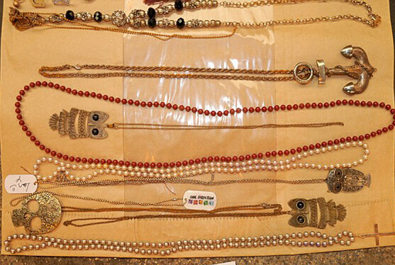 狗狗摇身变警探 助警方发现罪犯