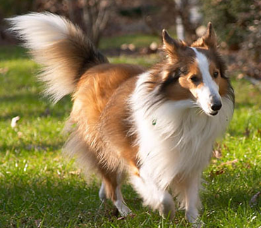 undefined{{pos:,w:,h:}}